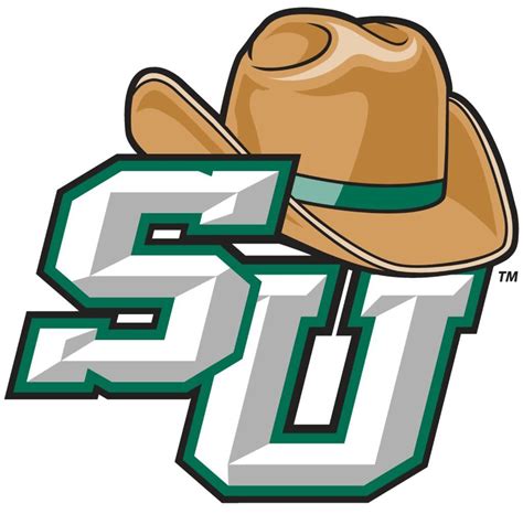 stetson university|stetson university athletics.